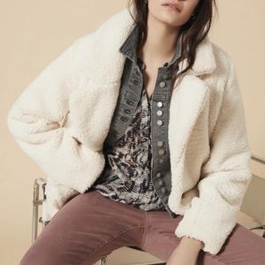 NWT Charlie B Teddy Fur Coat in Ecrue